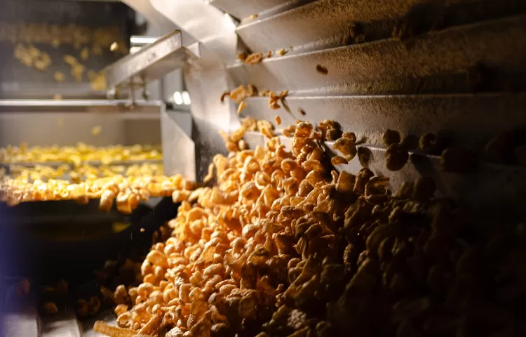 Como inovar no mercado de snacks?